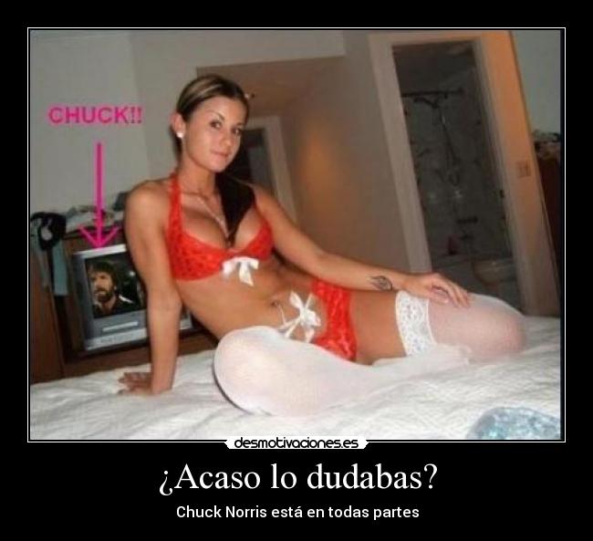 ¿Acaso lo dudabas? - 