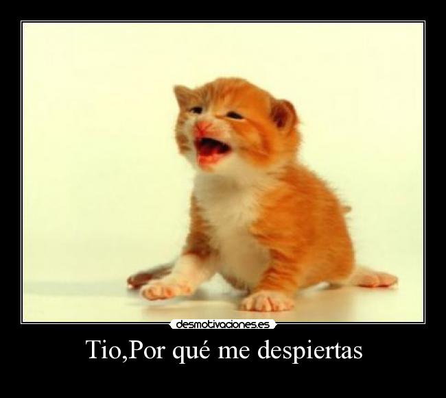 Tio,Por qué me despiertas -