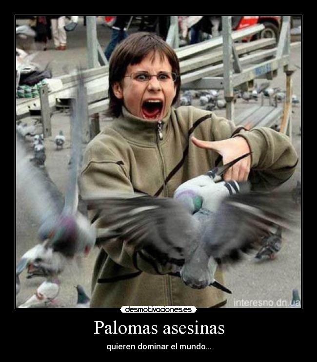 Palomas asesinas - quieren dominar el mundo...