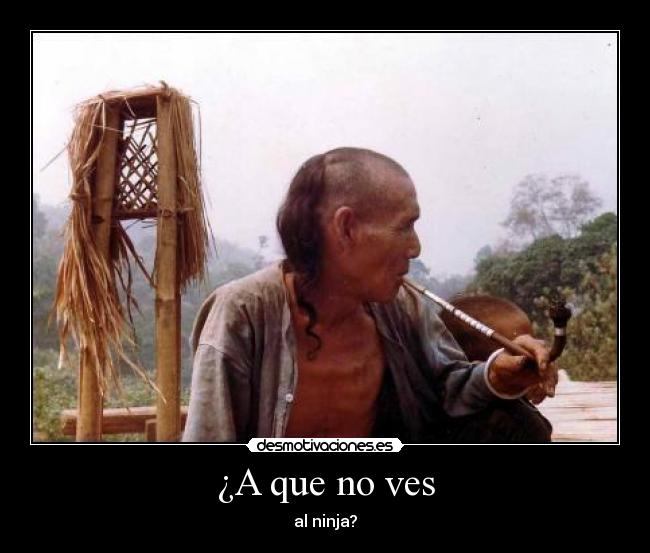¿A que no ves - al ninja?