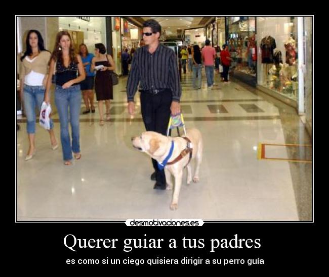 Querer guiar a tus padres - es como si un ciego quisiera dirigir a su perro guía