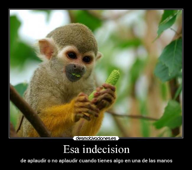 Esa indecision - de aplaudir o no aplaudir cuando tienes algo en una de las manos