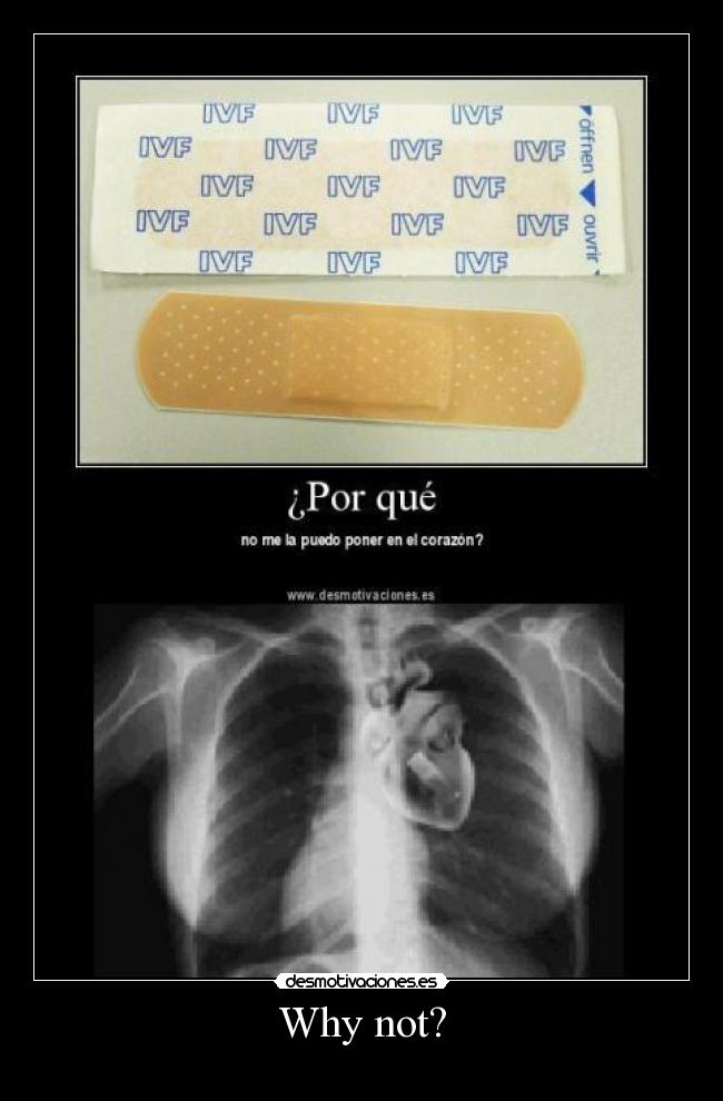 carteles why not desmotivaciones