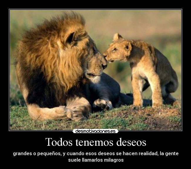 Todos tenemos deseos - grandes o pequeños, y cuando esos deseos se hacen realidad, la gente
suele llamarlos milagros