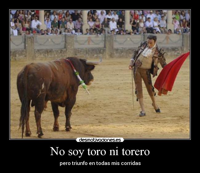 No soy toro ni torero -
