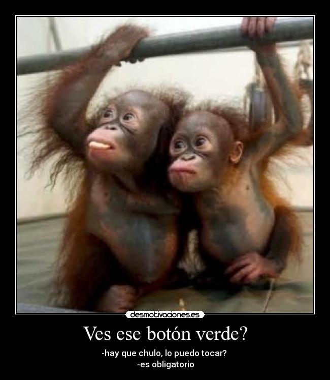 Ves ese botón verde? - -hay que chulo, lo puedo tocar?
-es obligatorio