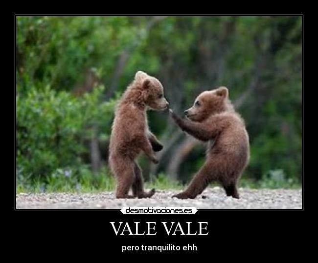 VALE VALE - 