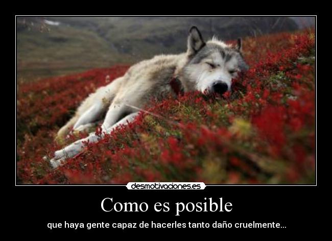Como es posible - 