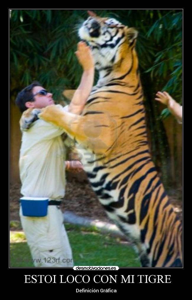  ESTOI LOCO CON MI TIGRE - 