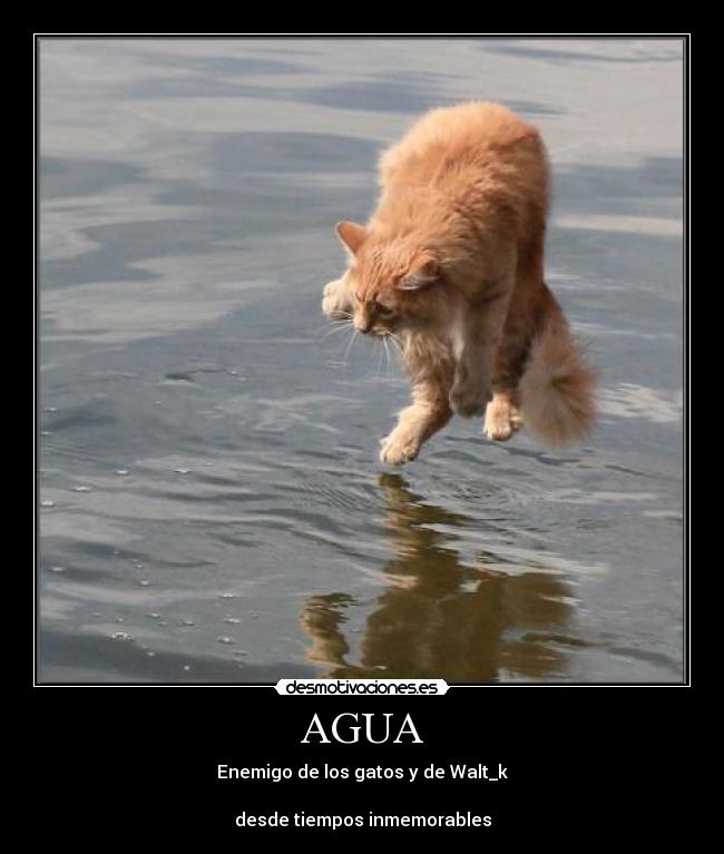 AGUA -