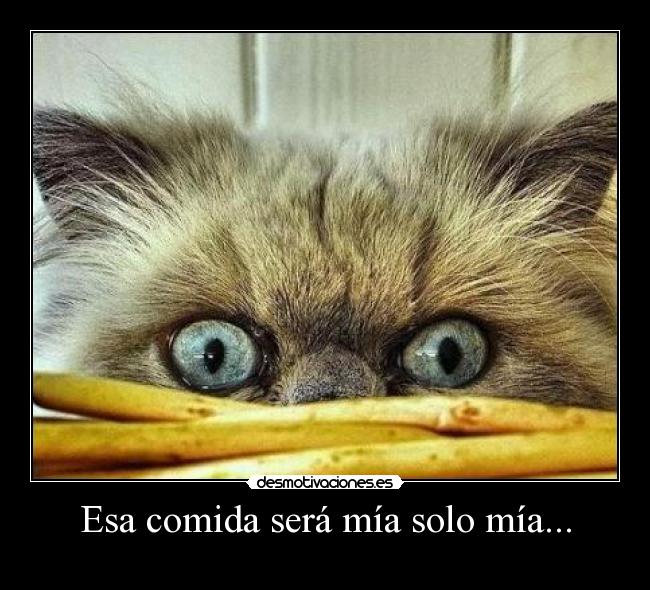 Esa comida será mía solo mía... - 