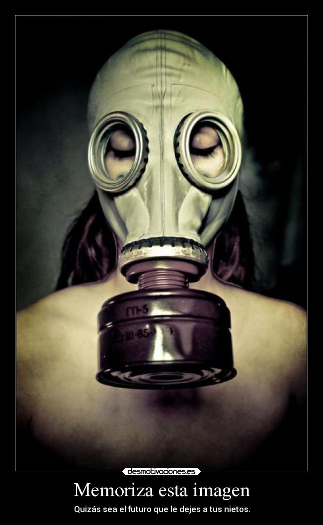 Memoriza esta imagen -