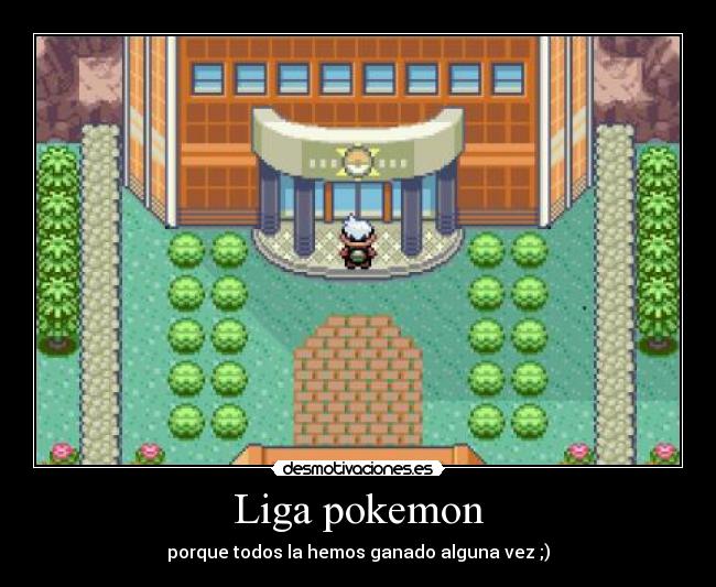 Liga pokemon -