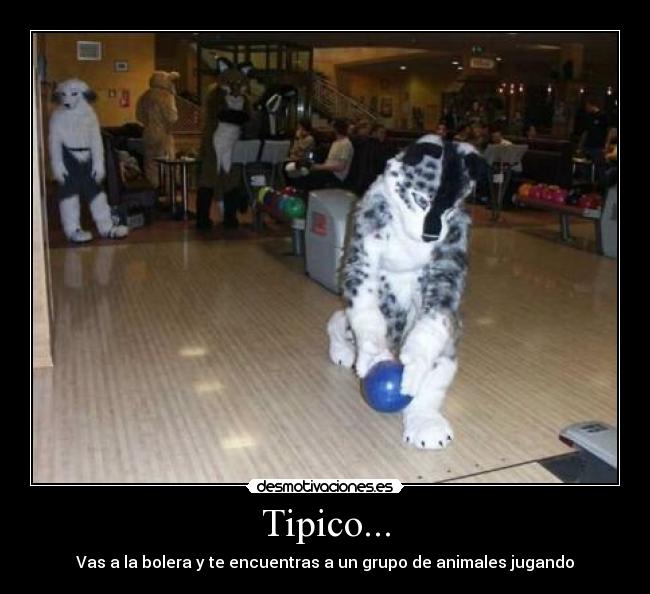 Tipico... - Vas a la bolera y te encuentras a un grupo de animales jugando