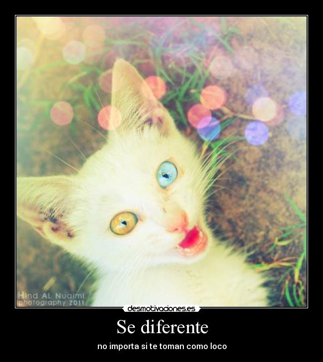 Se diferente - 