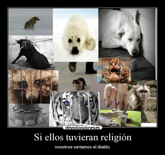 carteles religion animales desmotivaciones