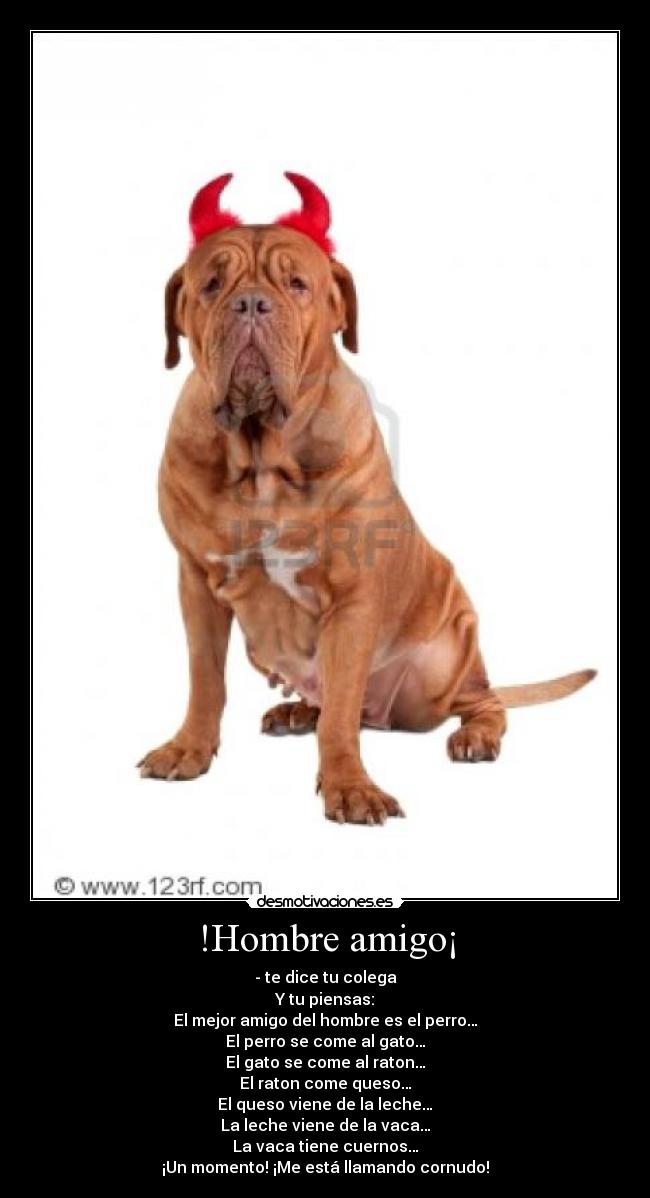 !Hombre amigo¡ -