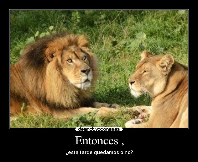 Entonces , - ¿esta tarde quedamos o no?