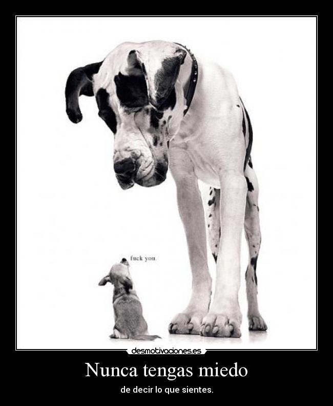 Nunca tengas miedo - de decir lo que sientes.