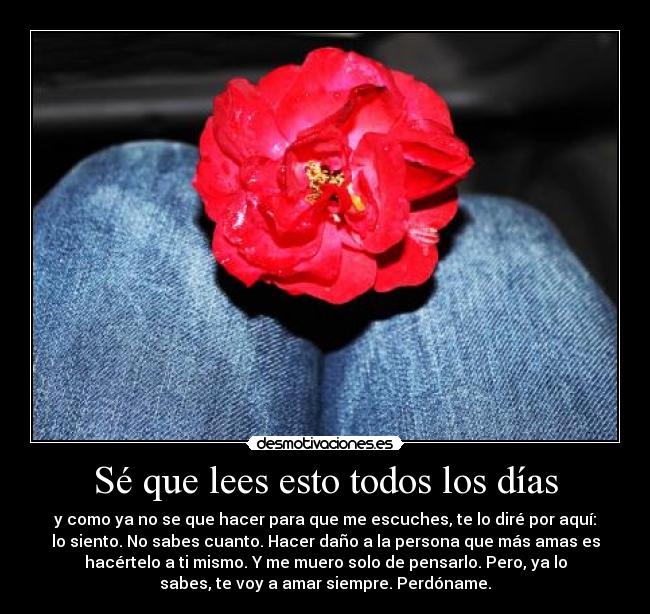Sé que lees esto todos los días -