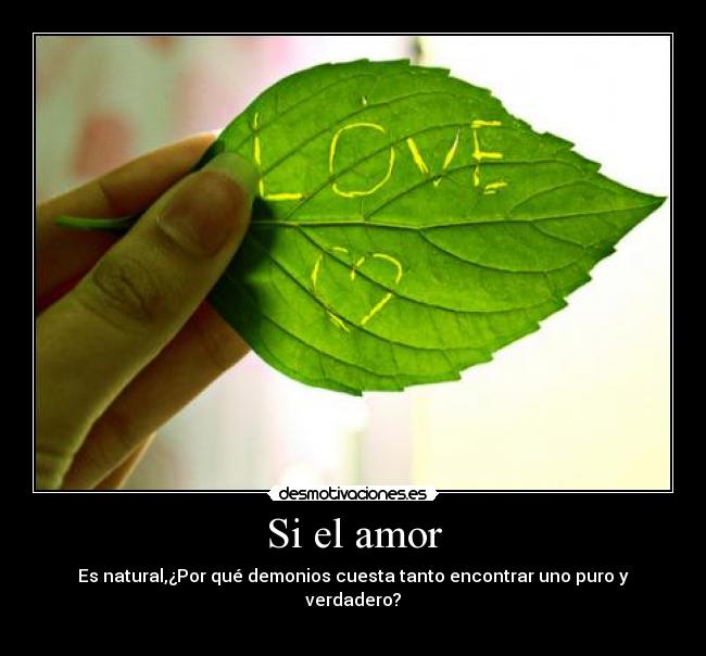 Si el amor -