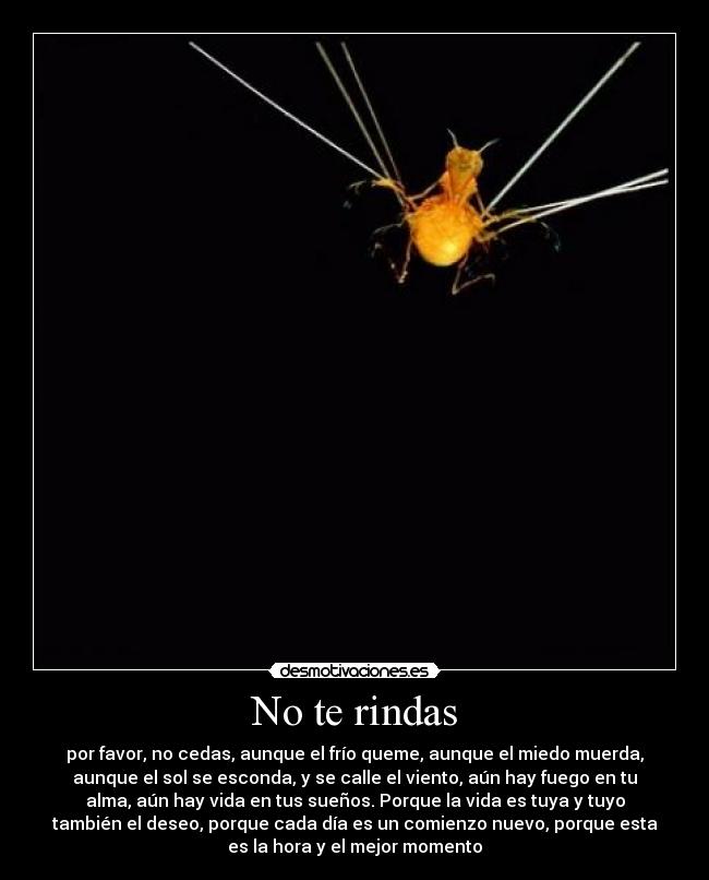 No te rindas - 