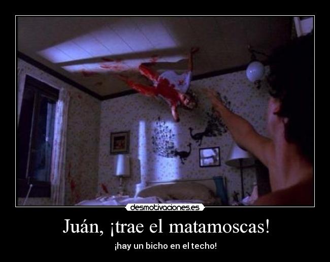 Juán, ¡trae el matamoscas! - 