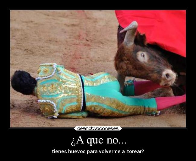 ¿A que no... - 