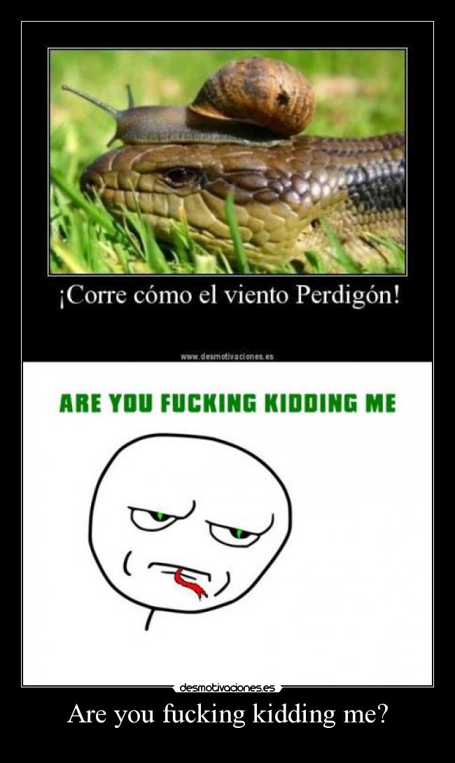 Are you fucking kidding me? - 