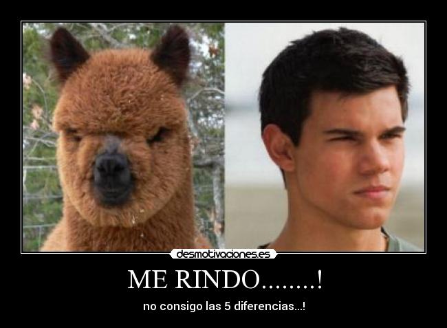 ME RINDO........! -