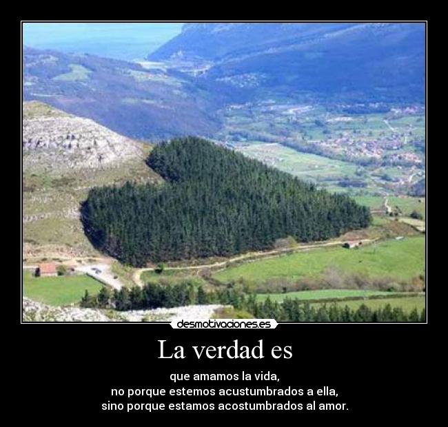La verdad es - 