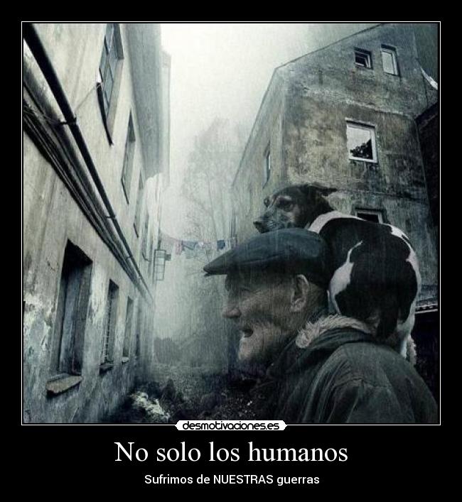 No solo los humanos - 