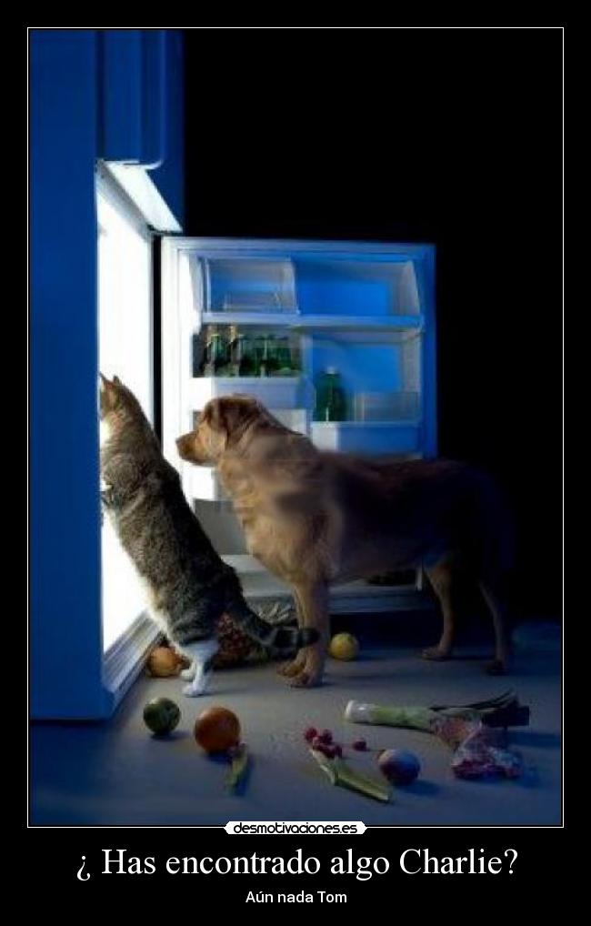 ¿ Has encontrado algo Charlie? - Aún nada Tom
