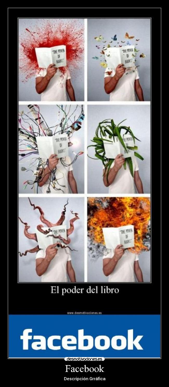 Facebook - Descripción Grráfica