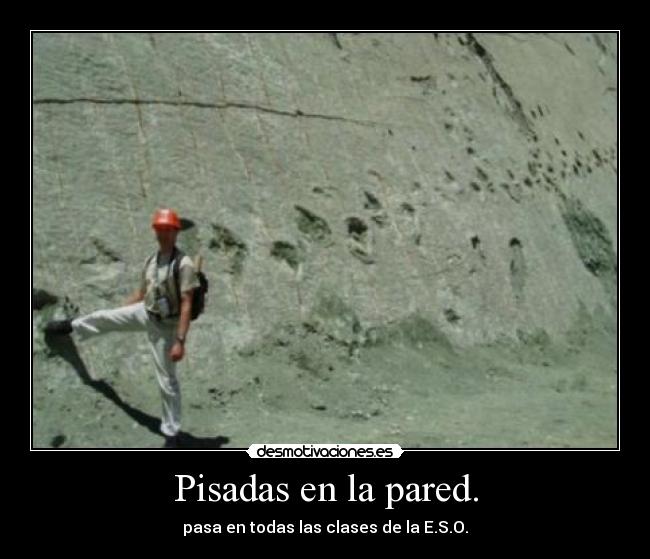 carteles ola desmotivaciones