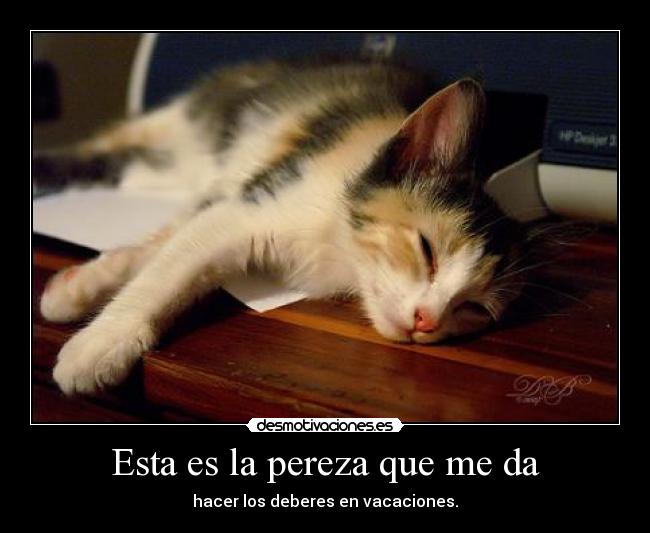 Esta es la pereza que me da - 