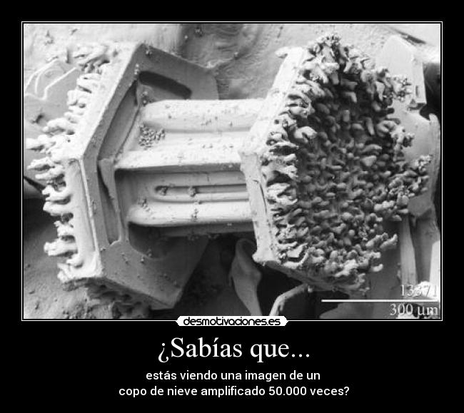 ¿Sabías que... - estás viendo una imagen de un
 copo de nieve amplificado 50.000 veces?