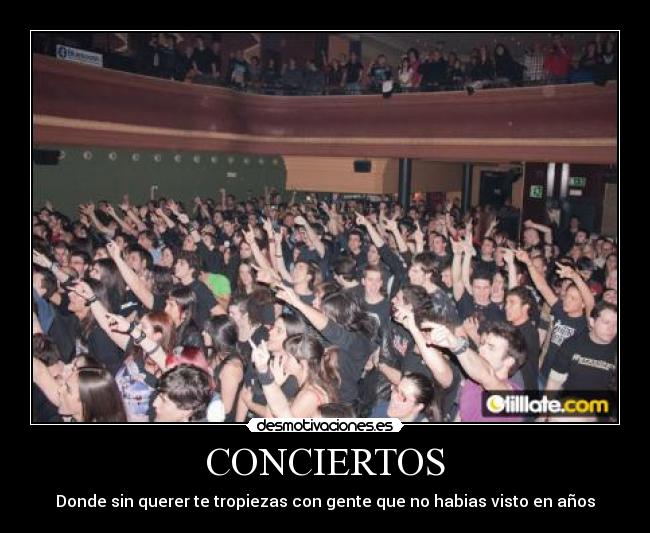 CONCIERTOS - Donde sin querer te tropiezas con gente que no habias visto en años