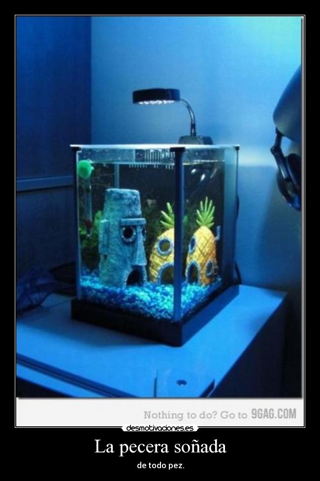 La pecera soñada - de todo pez.