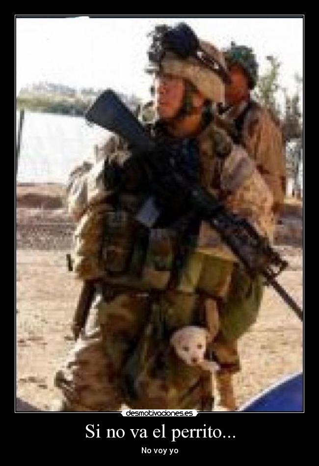 Si no va el perrito... - No voy yo