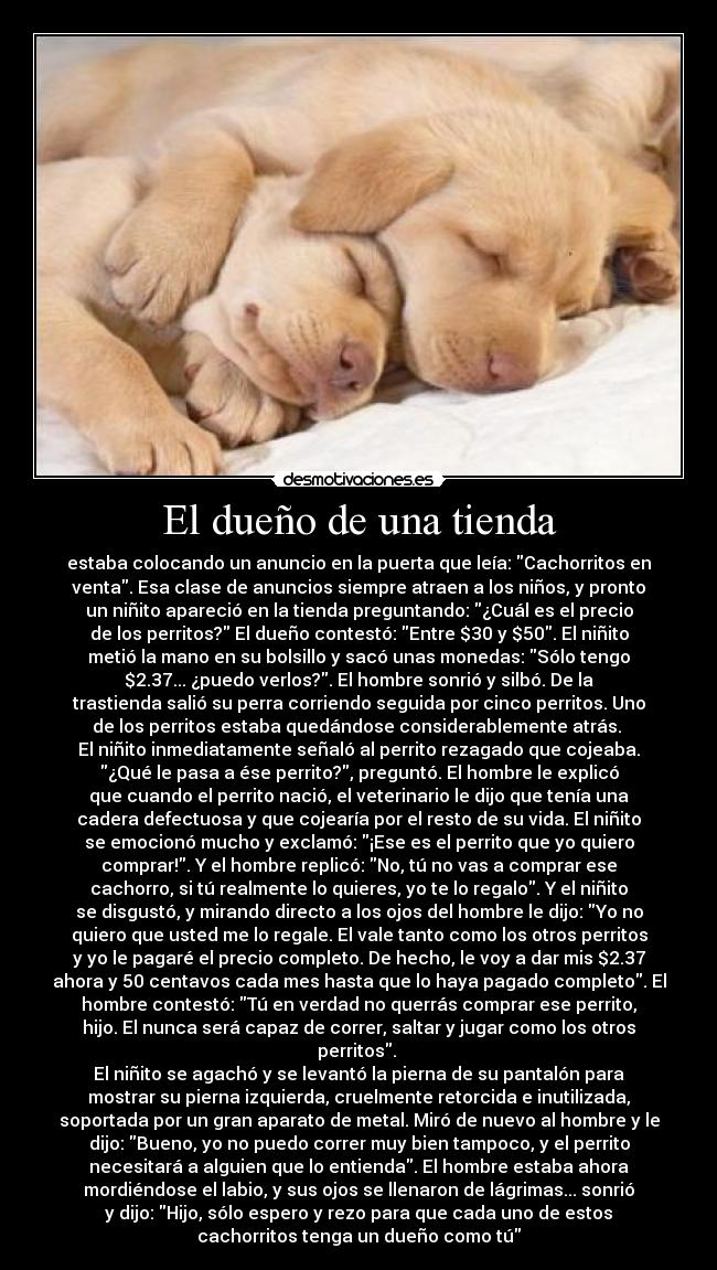 El dueño de una tienda -