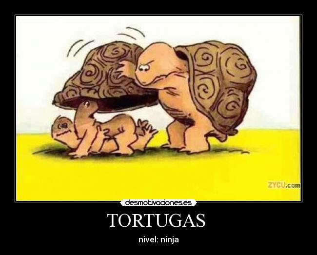 TORTUGAS  - nivel: ninja