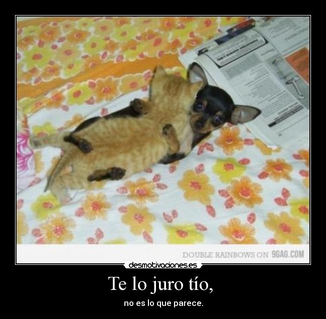 Te lo juro tío,  - no es lo que parece.