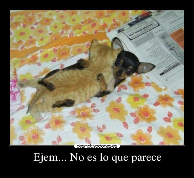 Ejem... No es lo que parece -