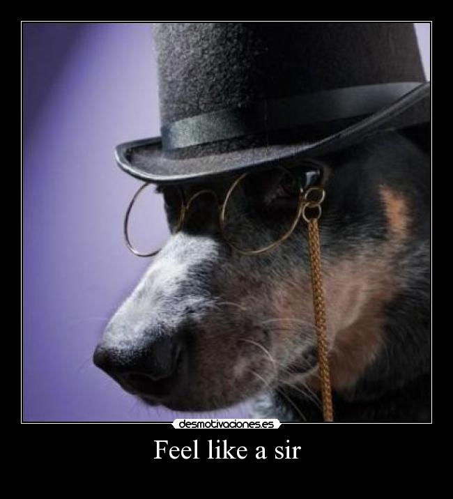 Feel like a sir -