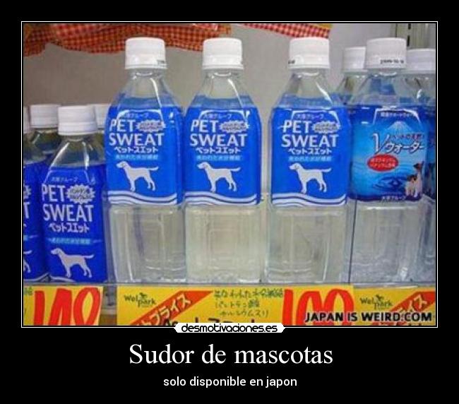 Sudor de mascotas -