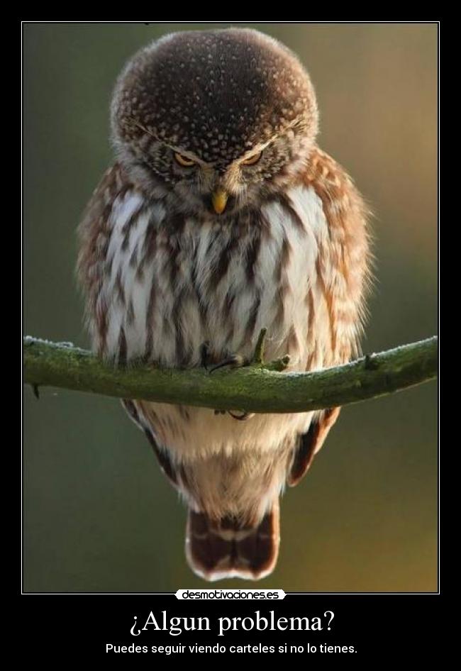 ¿Algun problema? - Puedes seguir viendo carteles si no lo tienes.