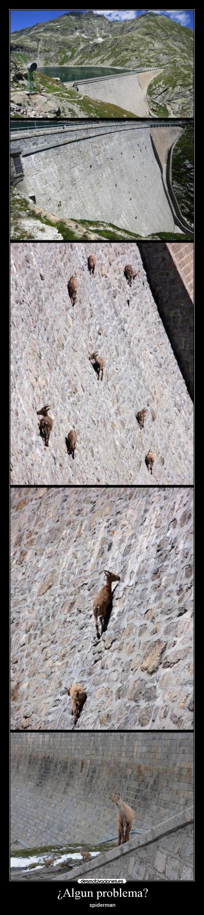 ¿Algun problema? - spiderman