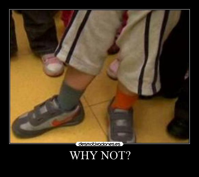 WHY NOT? -