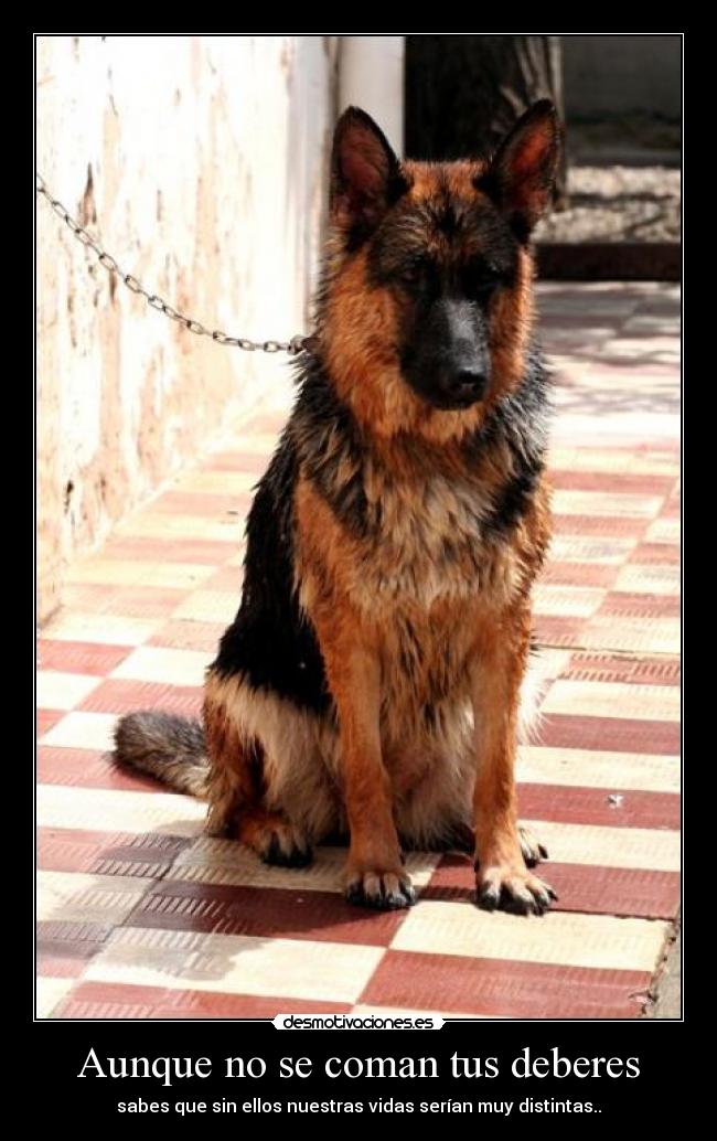 Aunque no se coman tus deberes -